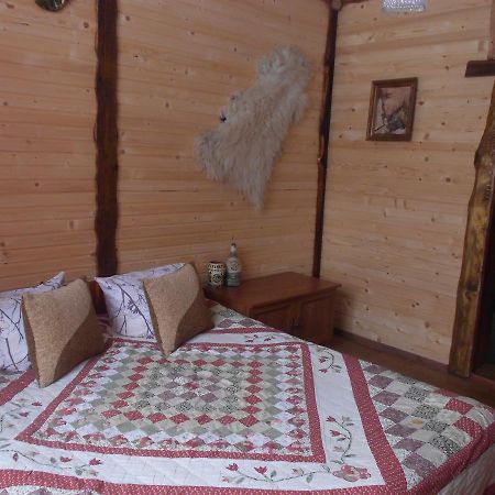 Sadyba Karpatskyi Vedmid Kosiv Bagian luar foto