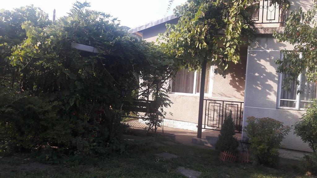 Sadyba Karpatskyi Vedmid Kosiv Bagian luar foto