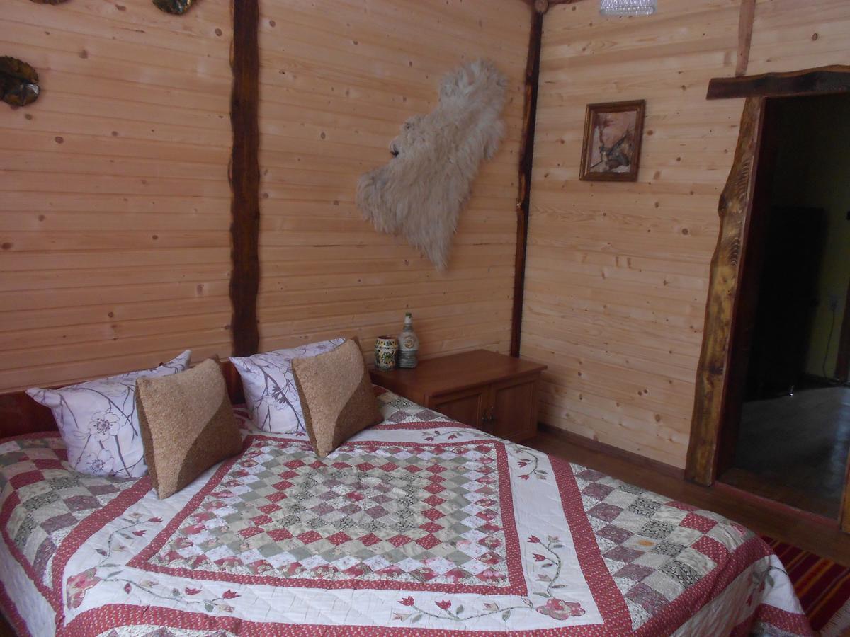 Sadyba Karpatskyi Vedmid Kosiv Bagian luar foto
