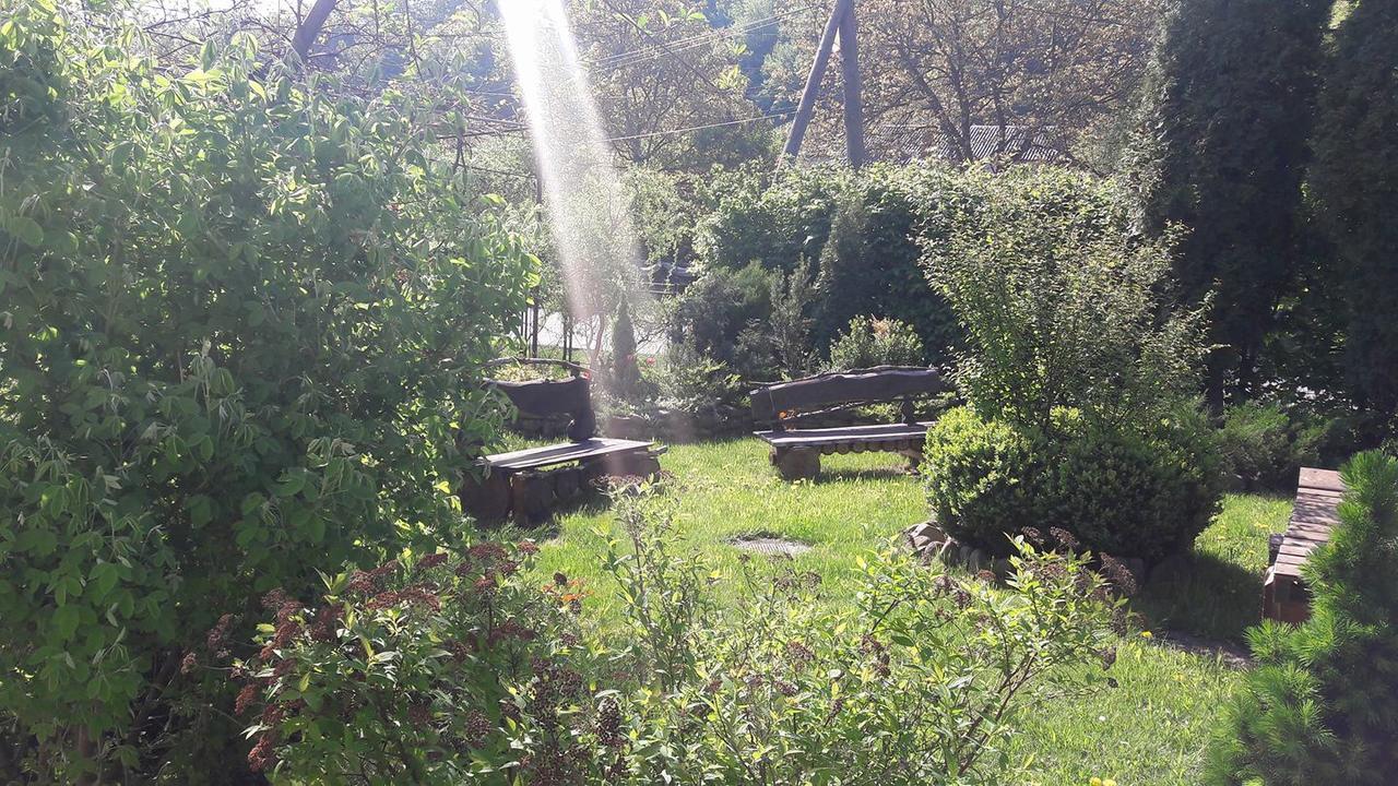 Sadyba Karpatskyi Vedmid Kosiv Bagian luar foto